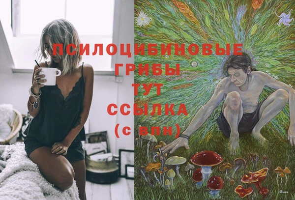 а пвп мука Белокуриха