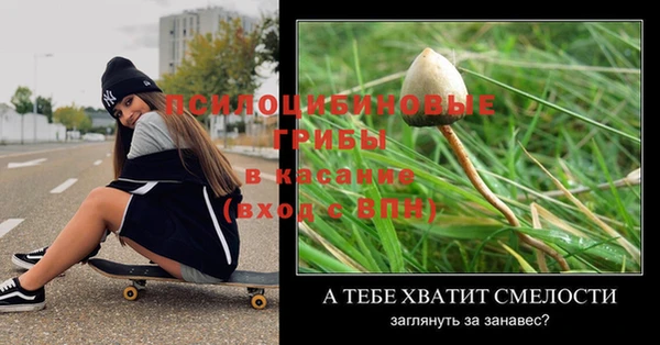 а пвп мука Белокуриха