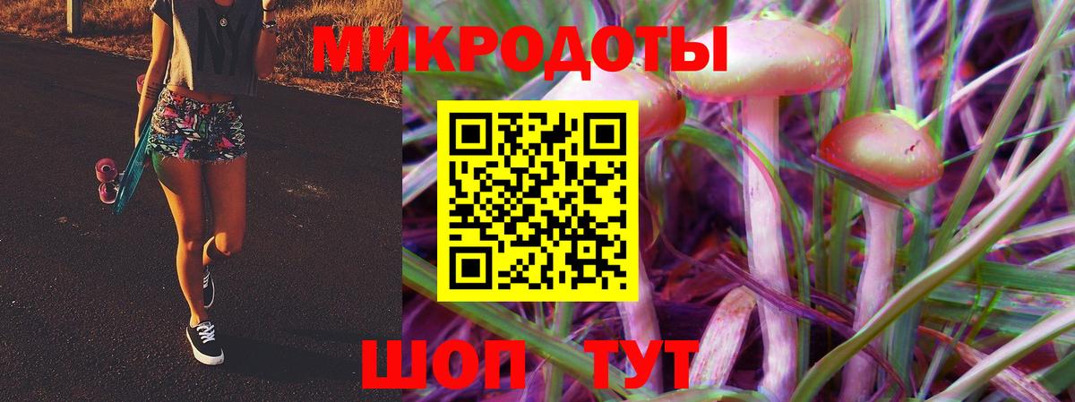 Псилоцибиновые грибы Psilocybe  Галлюциногенные грибы мицелий  Маркс  Вход с VPN 